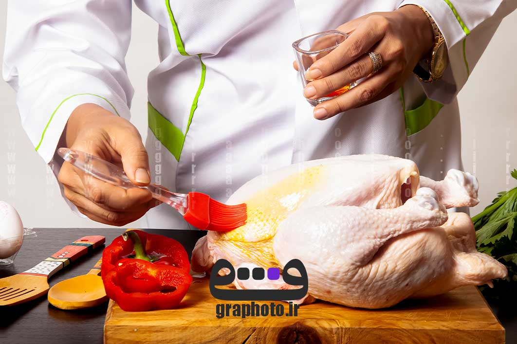 دانلود عکس باکیفیت مرغ
